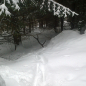 Prvý v sezóne 2013