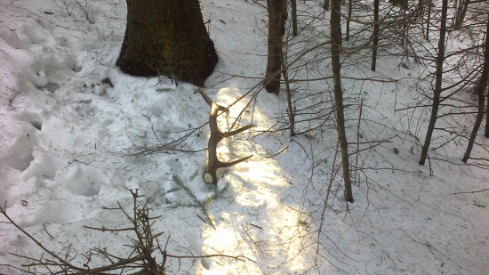 Krátka prechádzka po pracovnom dni.