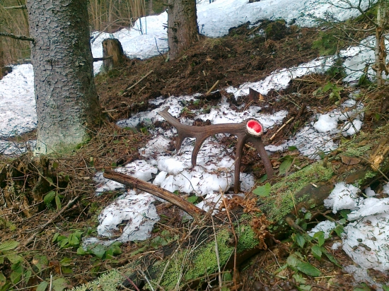 Keď sa ho chce za každú cenu zbaviť.