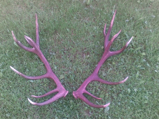 Nepravidelný 20-torák, osem ročný