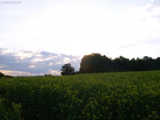 priroda