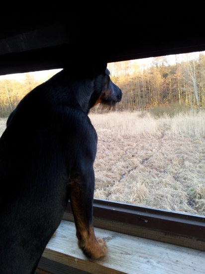 S jagoškou na posedu