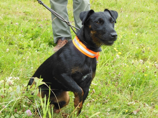 Nora Komjatické jazero