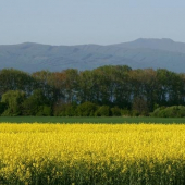 Krajina pod Vihorlatom