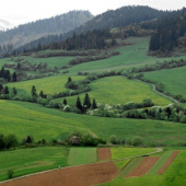 okolie Vyšných Ružbách