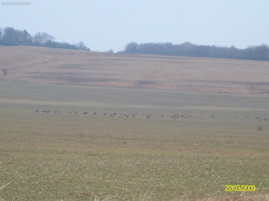 daniele bližšie nešlo...:D