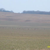 daniele bližšie nešlo...:D