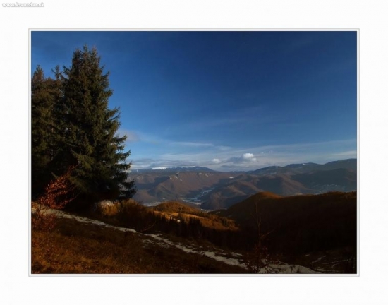 Planina