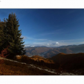 Planina