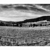 Besnik BW
