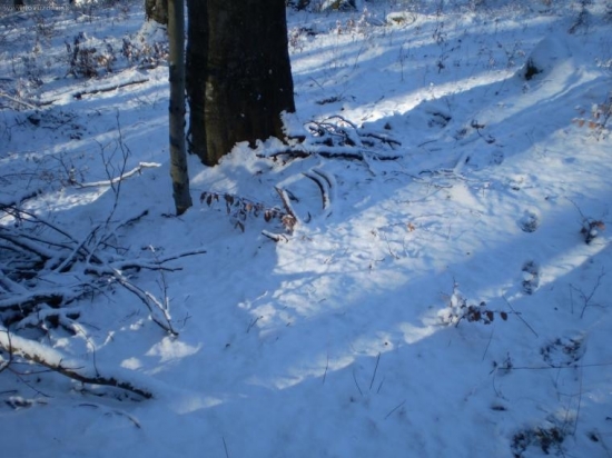 Takmer som ho nezbadal