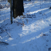 Takmer som ho nezbadal