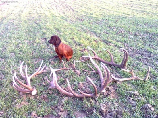 vrr... to su moje kosticky(vcerajsia zatva)