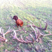 vrr... to su moje kosticky(vcerajsia zatva)