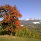 Oktber 09 Biele Karpaty