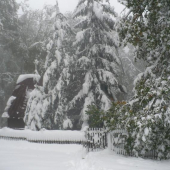 Oktober 09 Biele Karpaty