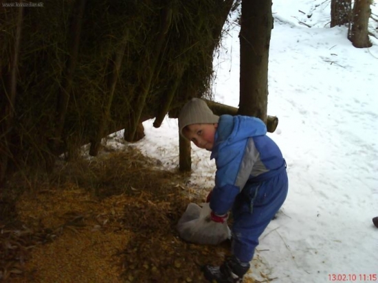 Moji pomocníci pri prikrmovaní