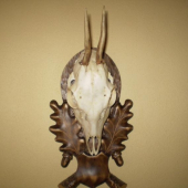 Môj prvý srnec 2001