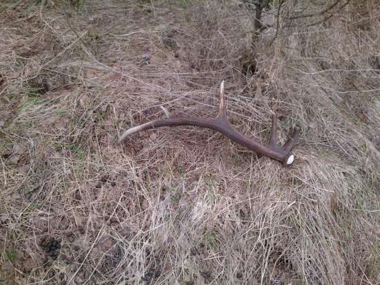 Dlhé chodenie, ale aj ten otlak za to stál!