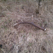 Dlhé chodenie, ale aj ten otlak za to stál!