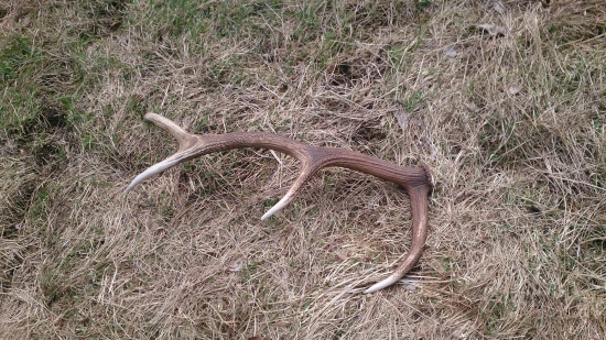 Konečne toho roku prvý!