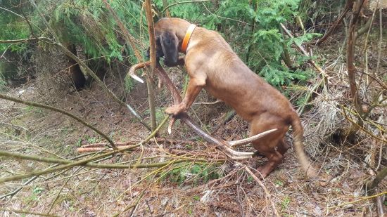 A je to tu! Spojené prijemné s užitočným :)