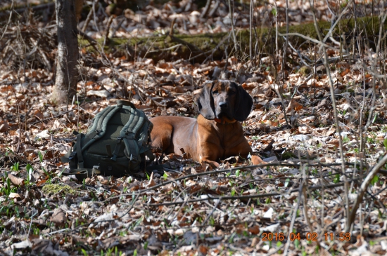 Keď  čaká na mňa