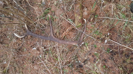 Sezóna sa začala super