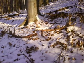 aj takto sa daju najst