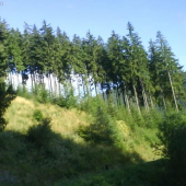 letný den pod muráňom