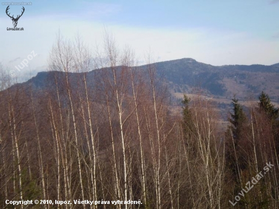 stred slovenska