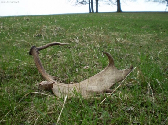 dnešné prekvapenie