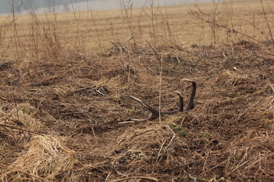 keď pršalo,mrholilo šťastie sa usmialo