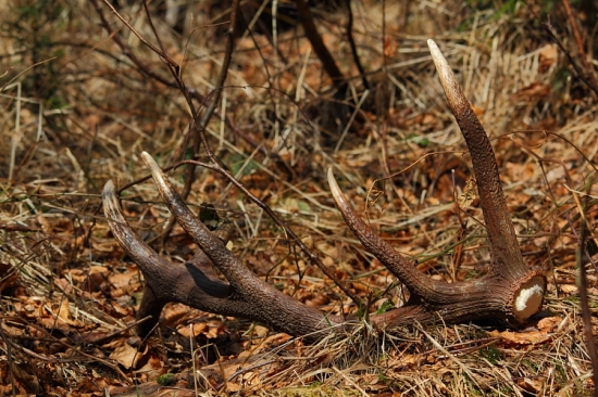 mesiac si počkal na mňa