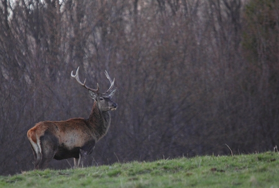 ešte trošku držia