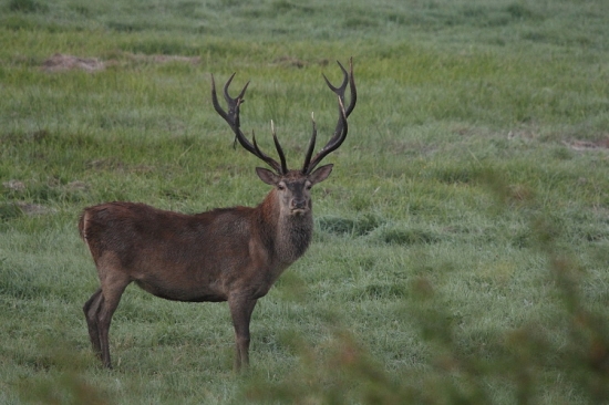 prijemné mrazivé ráno