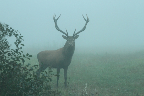 Pohľad na nezaplatenie