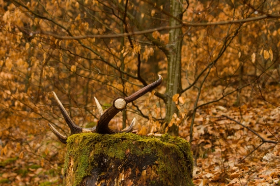 Za každého počasia