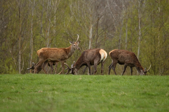 Aj na nich to prišlo