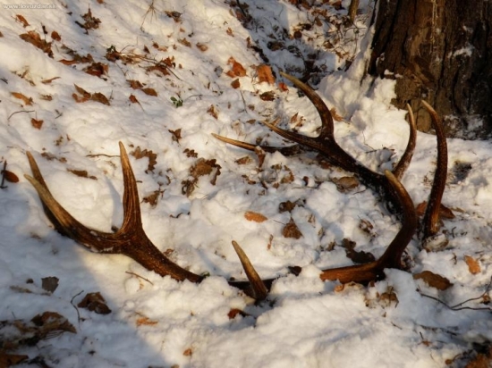 pre všetkých čo sa tešia na novú sezonu
