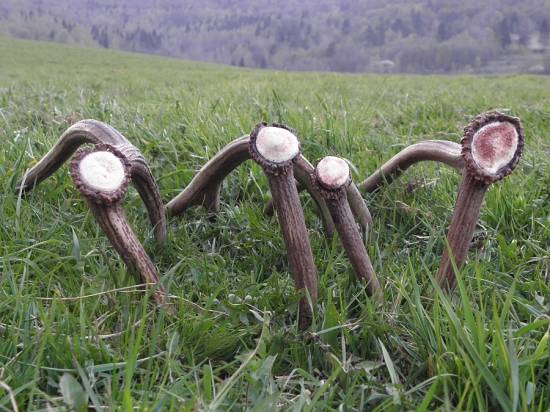 podvečerné šťastie 2