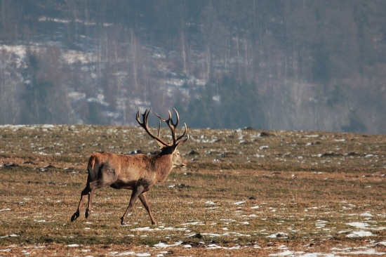 p-m...........tota fotka pre tebe je venovaná
