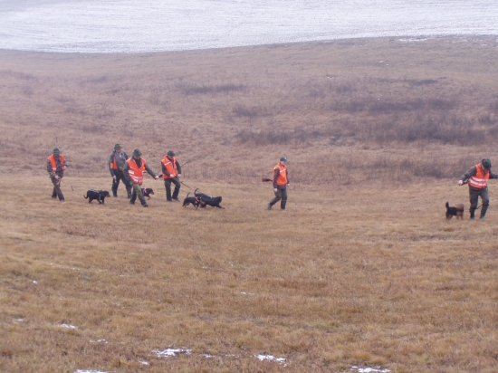 živání z PZ Hrachovo
