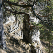Veľká Fatra