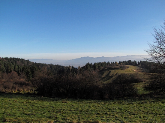 ráno