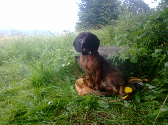 Môj najlepší priateľ