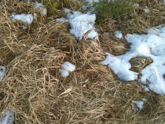 skoda že vlanajši :)