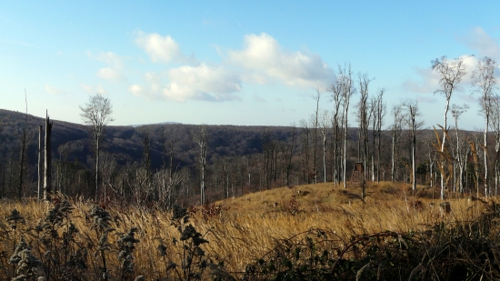 Malé Karpaty pred zimou