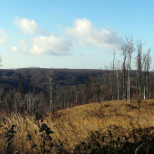 Malé Karpaty pred zimou