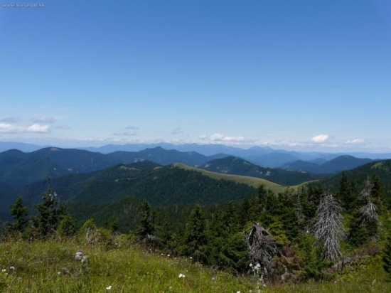 panoraaama